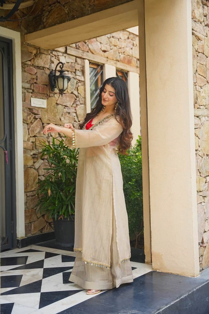 Lohvisha Indo-Western Festive Anarkali Set